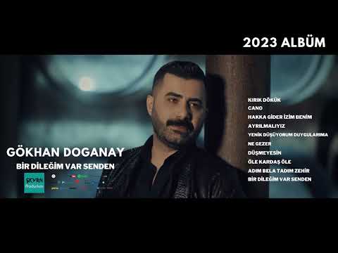 Gökhan Doğanay   Bir Dileğim Var