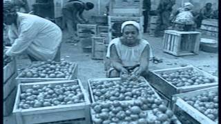 An Economic History Of Ghana (Part #1)