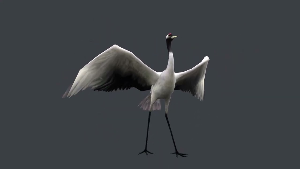 Low-poly animated crane bird 3D Model
