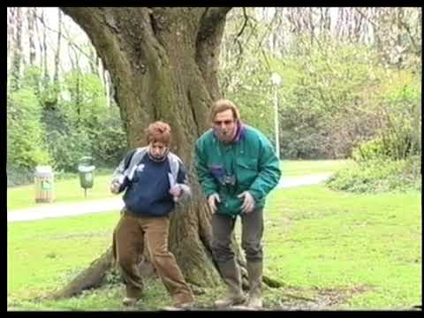 In De Gloria S02E10 - De Dagtrippers - Tripstick (2)