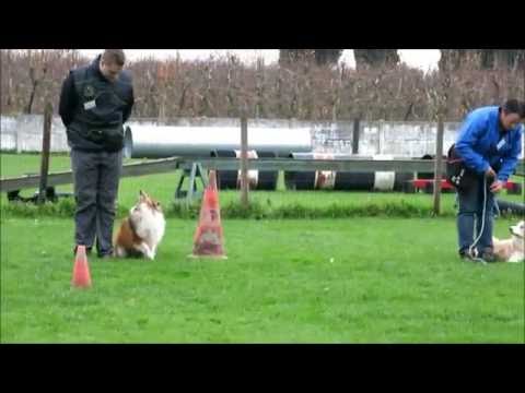 Florian brevet 07-11-2015