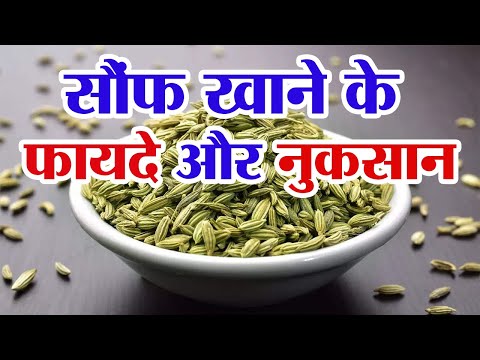 Benefits and disadvantages of eating fennel | What happens by eating fennel | Benefits of eating ...