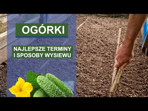 , title : '🍀 Sprawdzone sposoby i terminy wysiewu ogórków'