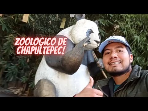 Así es el Zoológico de Chapultepec 2024/ El Zoo más visitado en todo México