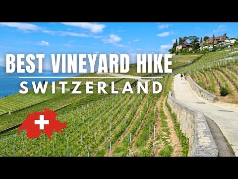 LAVAUX VINEYARDS - Best Hike Along Lake Geneva