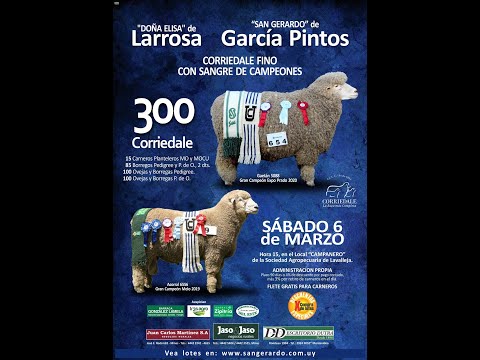 06/03/2021 Sociedad Agropecuaria de Lavalleja - Doña Elisa de Larrosa, Escritorio Dutra LTDA., Jaso