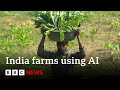 Artificial Intelligence Comes To Farming In India BBC News