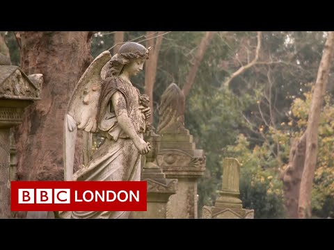 Climate change at Highgate Cemetery