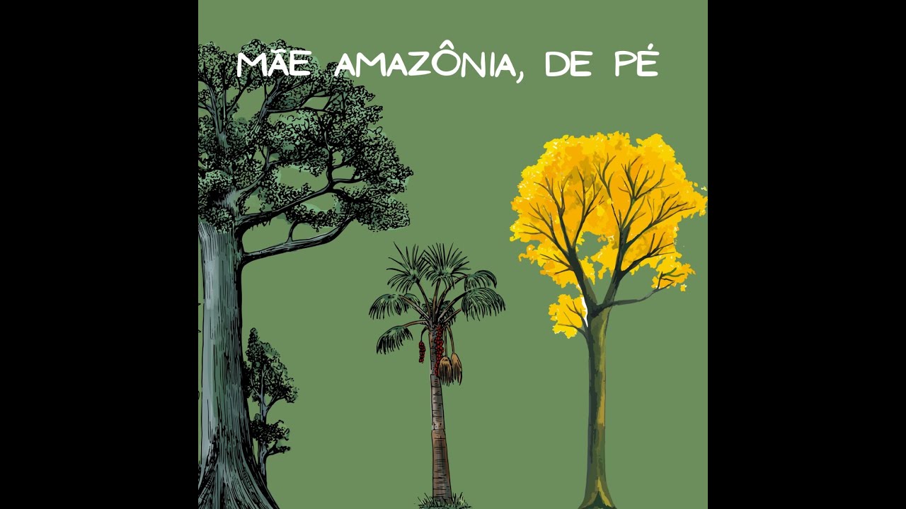 Mãe Amazônia, de Pé - Silvan Galvão