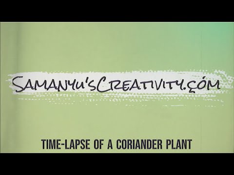 Samanyu'sCreativity.çóm and bytenight