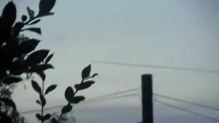 Black Chemtrails & Black X! WTF! Hertfordshire UK.