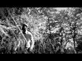 In Flames - Through Oblivion 