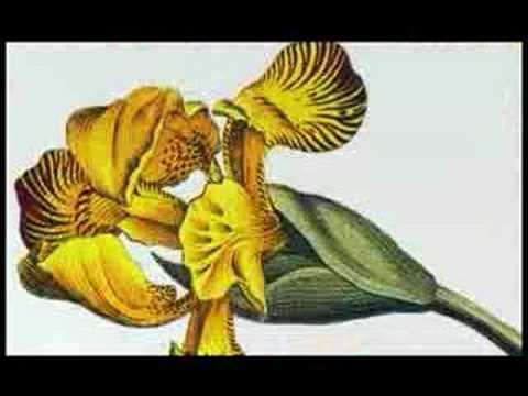 Sakura Wars Mysterious Paris Opening Credits