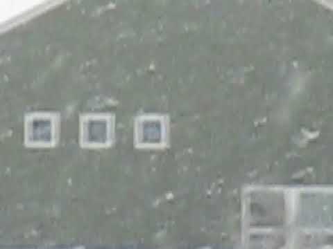 02:16:2021 Backyard snowfall