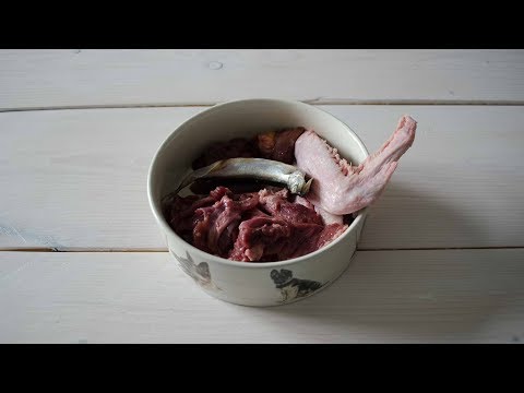 download lagu mp3 mp4 Raw Diet Ratio For Dogs, download lagu Raw Diet Ratio For Dogs gratis, unduh video klip Raw Diet Ratio For Dogs