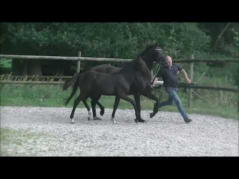 SF2024 St Athetique x Don Nobless