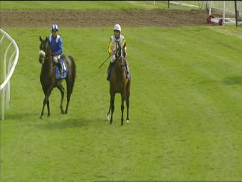 Thumbnail for DIAR Preparatory Race Newbury 7/07/16 by Diar