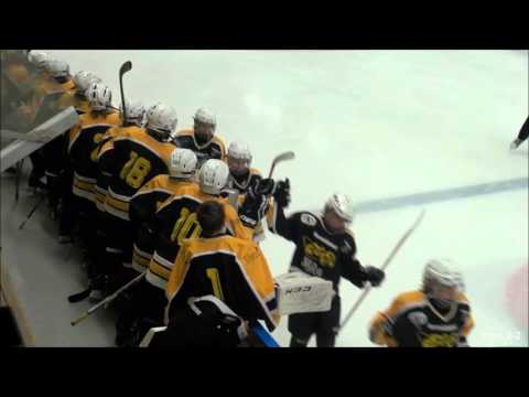 U14 Gäre Trophy Linköping HC - Tibro IK