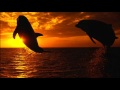Michael W. Smith - Song For The King
