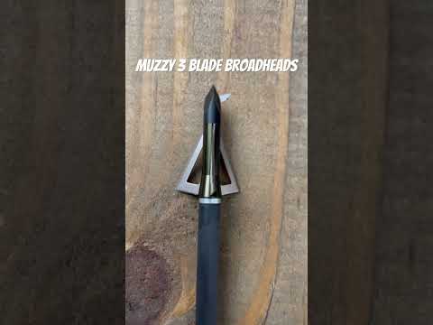 Broadhead Is in Great Shape