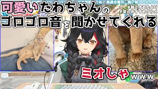 【ホロライブ切り抜き】可愛いたわちゃんのゴロゴロ音を聞かせてくれるミオしゃｗｗｗ【大神ミオ】