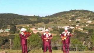 preview picture of video 'Los Auténticos de Hidalgo-El Baile Del Compadre VIDEO OFICIAL'