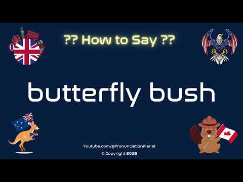 🦋🌿 How to Pronounce butterfly bush? (CORRECTLY) | Pronunciation Planet