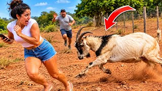 DEU RUIM! 😁 E AGORA?!? | Vídeo de comédia e humor😂🤣