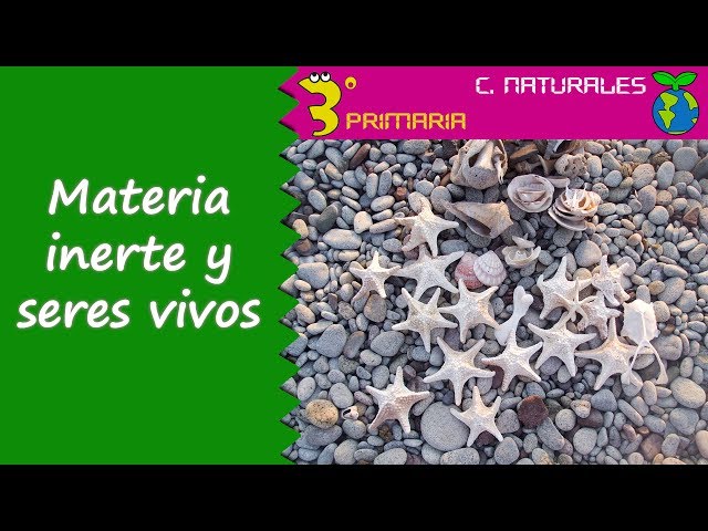 Vídeo relacionado con Ciencias de la naturaleza. 3 Primaria. Más Savia - 9788491076414