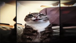 Cover art for 𝙈𝙊𝙉𝙏𝘼𝙂𝙀𝙈 𝙑𝙊𝙇𝙏𝙀 𝙎𝙇𝙊𝙒𝙀𝘿