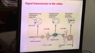 [Vision] - Photoreceptor Potential .Dr .Hany Gamal