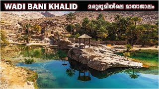 || മരുഭൂമിയിലെ മായാജാലം || Wadi Bani Khalid || Exploring Oman || Oman tourist spot ||