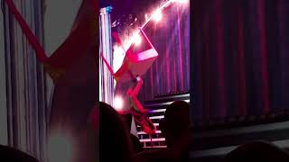 MSC ORCHESTRA SHOW