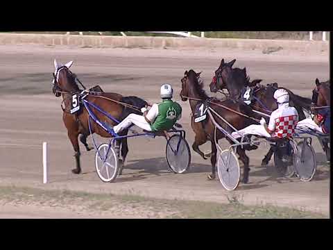Napoli Trotto 08/09/2023 - 4ª corsa