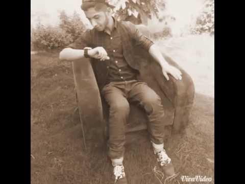 TAHR M2 FT DARD B2 2016