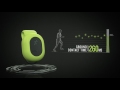 Garmin Bėgimo dinamikos jutiklis