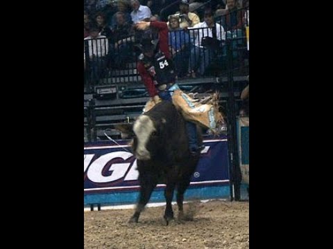 Ty Murray vs Mr. Wiggles - 98 PBR Finals (87.5 pts)