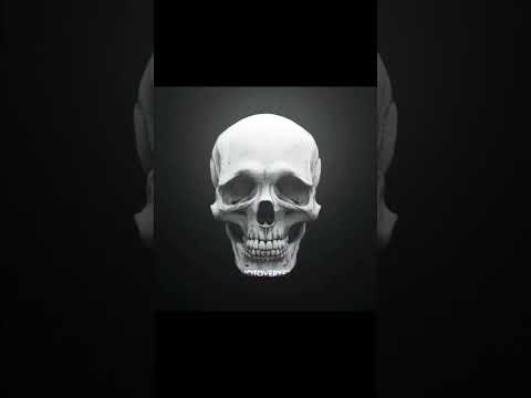 Hunter skull 🗿🗿☠️