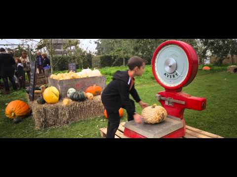 Daylesford Harvest Festival, 26th September 2015