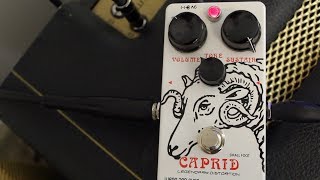 Video thumbnail for Wren and Cuff Small Foot Caprid by Jack Fossett