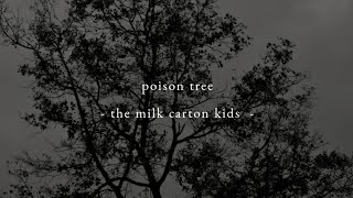 poison tree - the milk carton kids ~