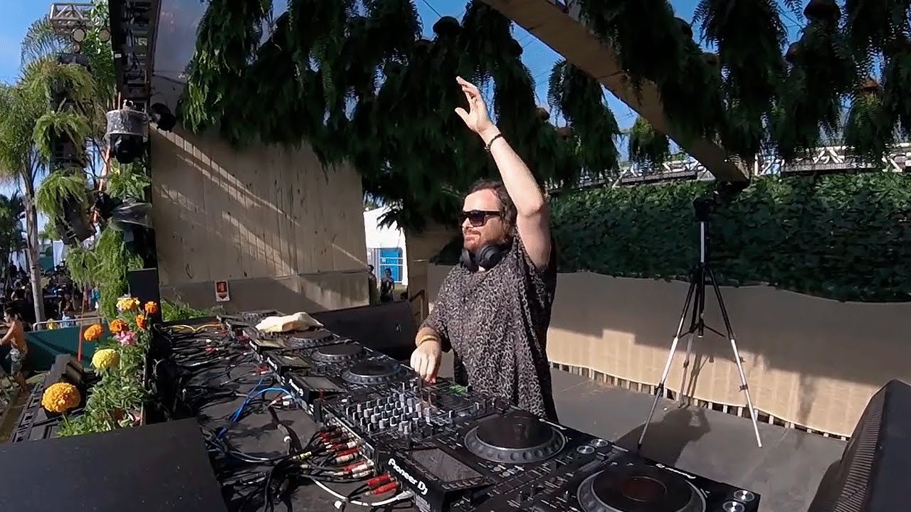 wAFF - Live @ Tribe 2019