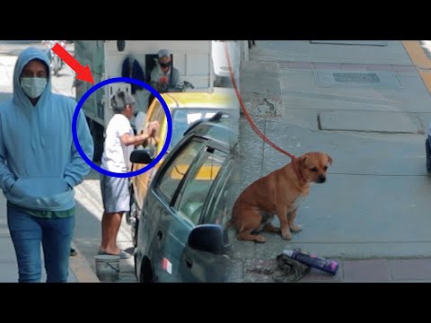 Niño pobre trabaja en la calles para darle de comer a su perrito pero sin pensar que le pasaría esto