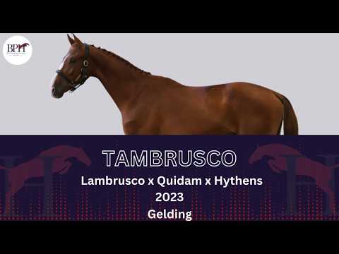 Tambrusco