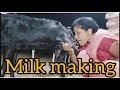 Viral Milk Making Vlog