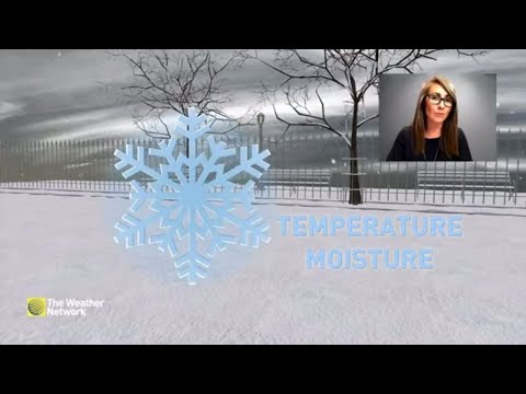 The Science Behind Snowflakes: What makes them unique?