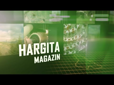Hargita magazin 2020. december 8.
