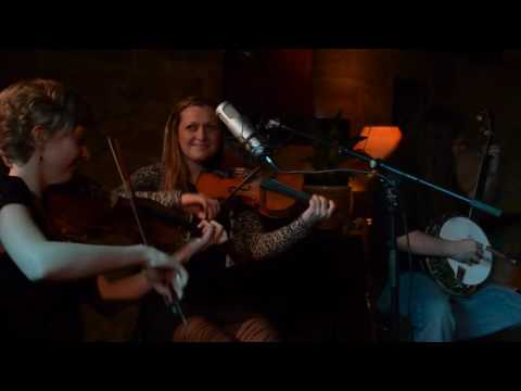 The Happy Cats Travelling Sesssions - Luckiest Boy