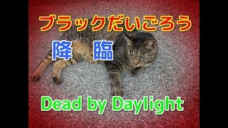 ブラックだいごろう降臨＃1【デッドバイデイライト】
