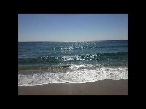 6 min meditation or savasana